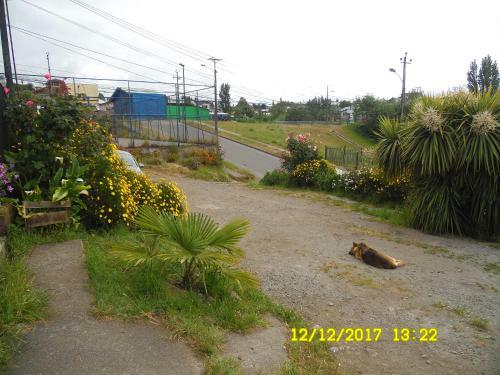 Lodge Caba�as Cotesita