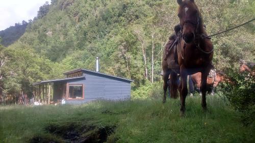 Caba�a La Sierra De Cocham�