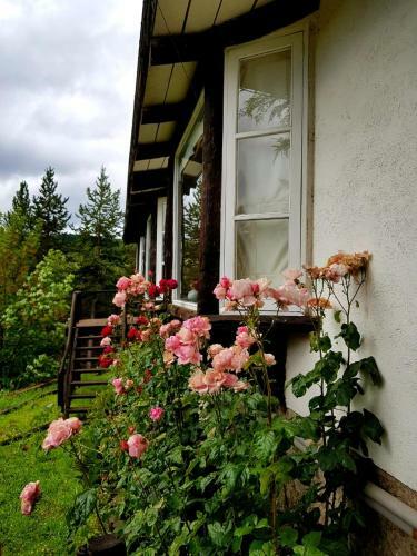 Hotel The Patagonian Lodge