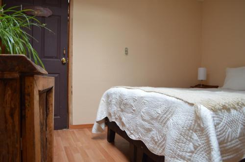 Albergue Casa Balmaceda Backpackers