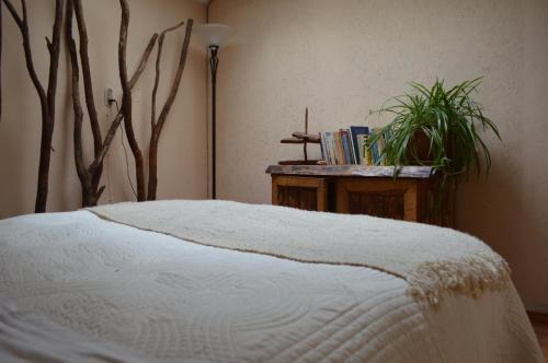 Albergue Casa Balmaceda Backpackers
