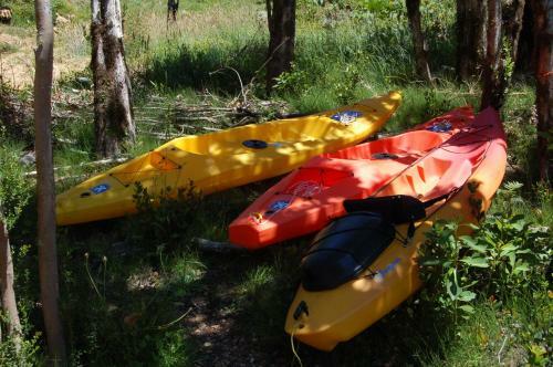 Bed & Breakfast Braatzland Huerquehue Puc�n