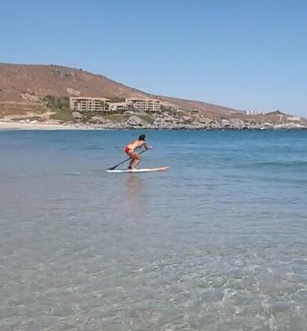 Mi Lugar