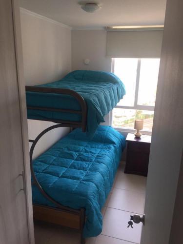 Apartamento Edificio Nuevo Marina Oceano