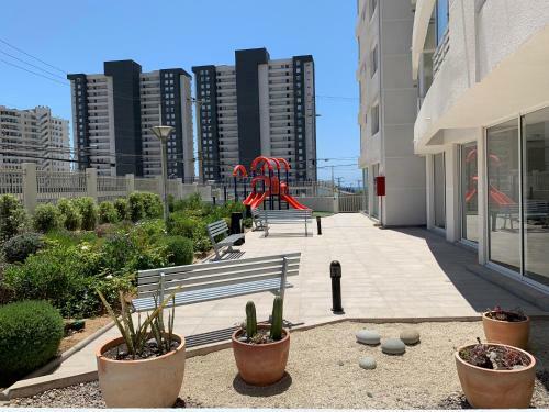 Pancho�s Apartment