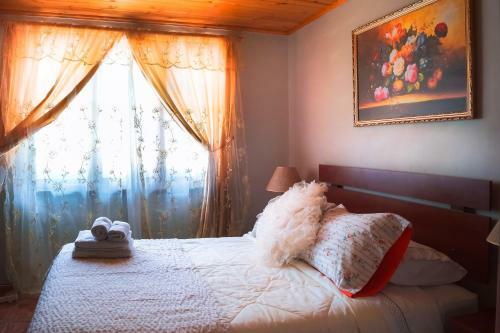 Homestay In Chile B&B