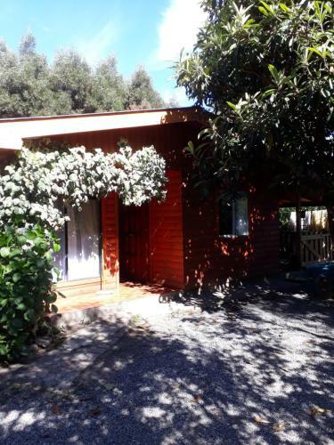 Caba�a La Araucaria