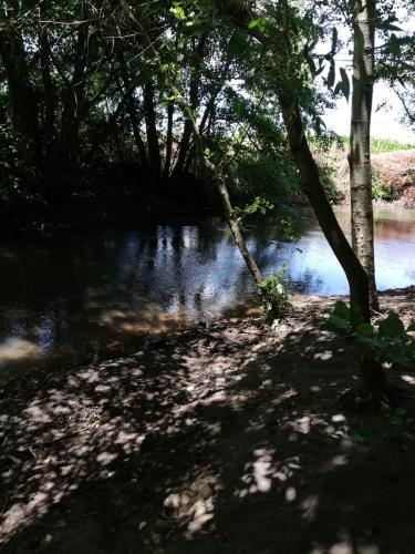 Apartamento Bosque Nativo