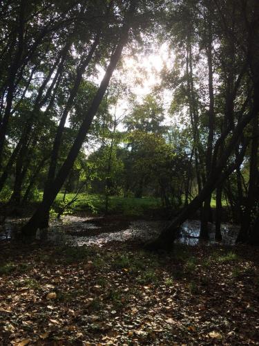 Apartamento Bosque Nativo