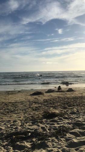 Apartamento El Tabo A Pasos Isla Negra