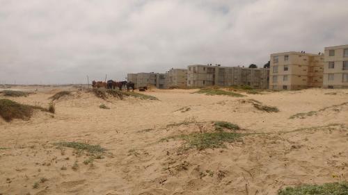 Apartamento Borde Mar Las Cruces