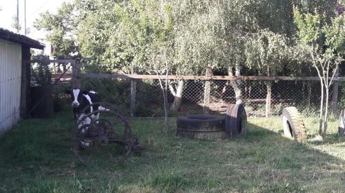 Agroturismo Caba�a En El Campo