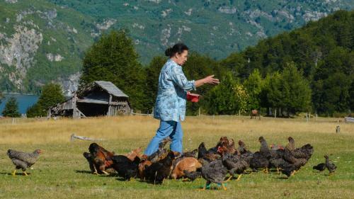 Agroturismo Futaleufu