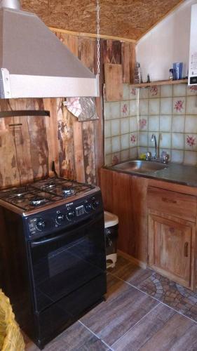 Caba�as Lago Huillinco