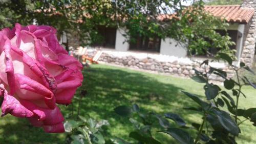 Hostal Casa Iris