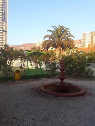 Habitaci�n En Departamento