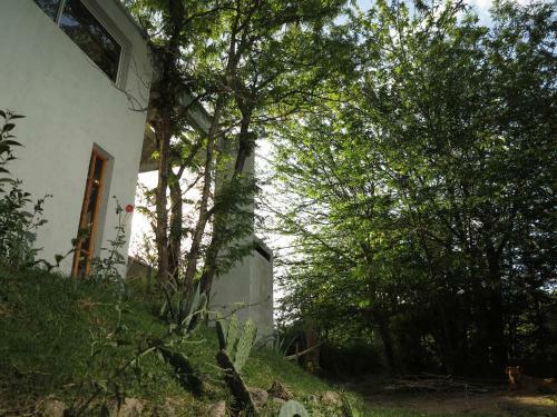 Apartamento Paloma Suite