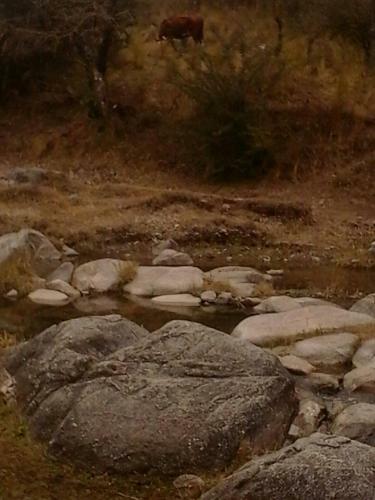 Apartamento Paloma Suite