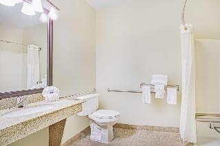Hotel Baymont Inn  Suites Dallas Love Field