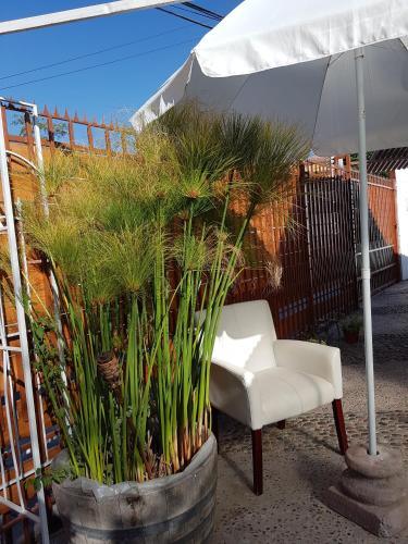 Aparthotel Carmona