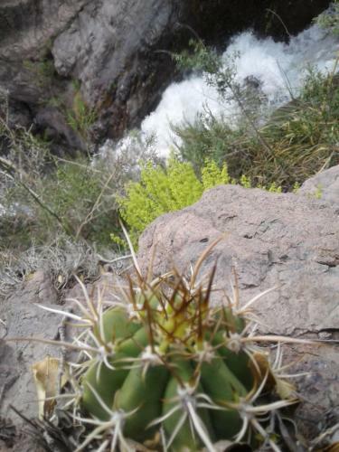 Hostal Refugio Cumbres