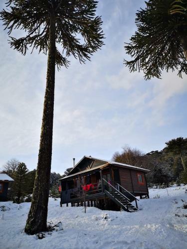 Peumahue