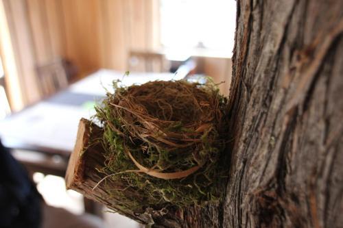 Refugio Natural Conguill�o