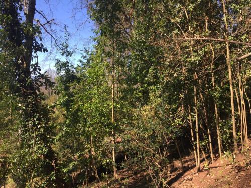 Agroturismo Caba�a Aliwen