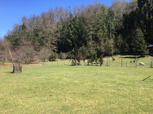 Agroturismo Caba�a Aliwen