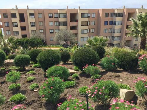 Apartamento Depto. Vistamar Papudo