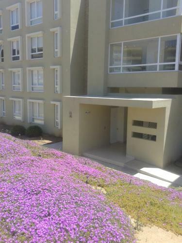 Apartamento Departamaneto Mar Y Arena