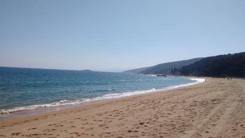 Apartamento A Pasos De La Playa