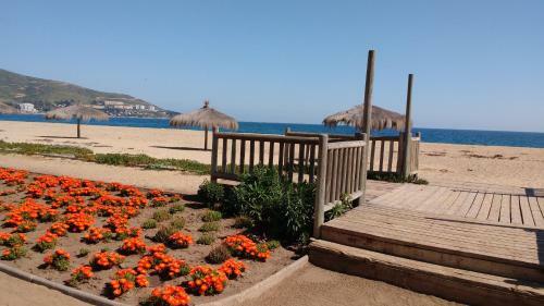 Apartamento A Pasos De La Playa