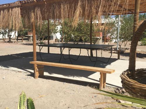 Caba�as Kiwiland