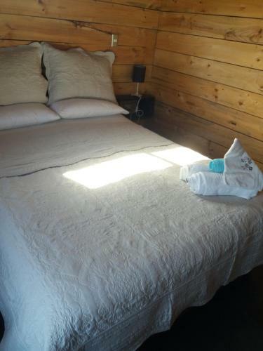Bed & Breakfast La Casa En La Playa
