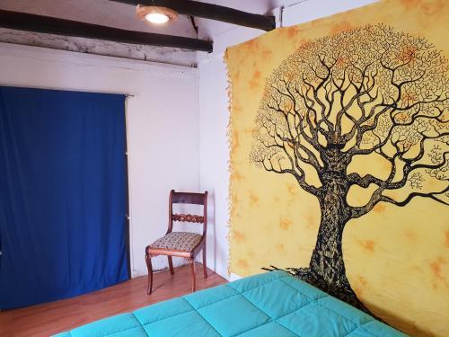 Hostal Nomad Paddle
