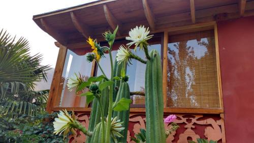 Lodge El Jardin Secreto