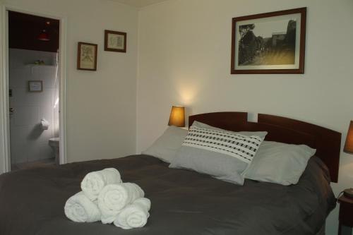 Hostal Pisco Elqui Caba�as