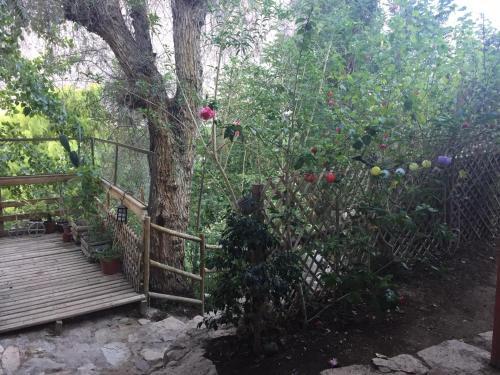 Hermosa Casa Pisco Elqui