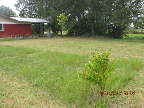 Lodge Caba�a De Agrado
