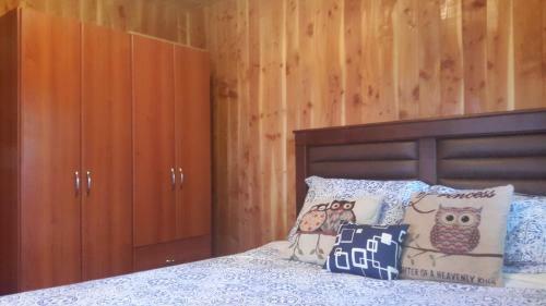 Ximena's Cabin