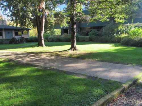 Puc�n Apartment Condominio Los Cerros