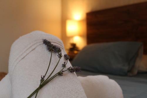 Apartamento Papagoyo Caba�as & Lodge