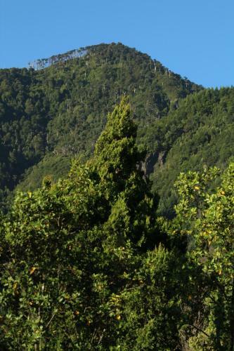 Apartamento Papagoyo Caba�as & Lodge
