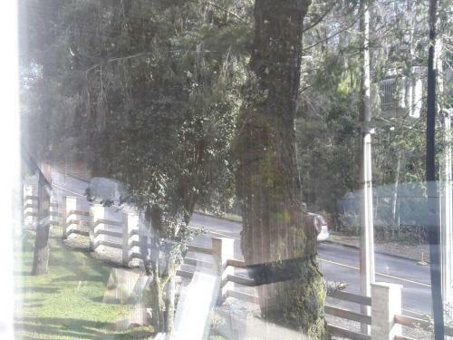 Apartamento Paillahue Pucon