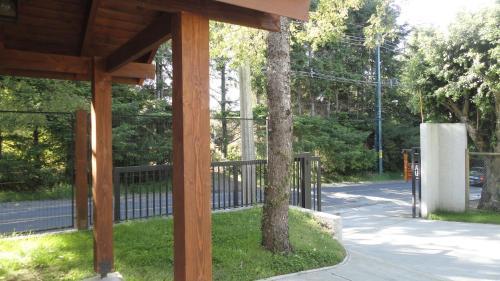 Apartamento En Pucon