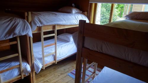 Lucky's Hostel