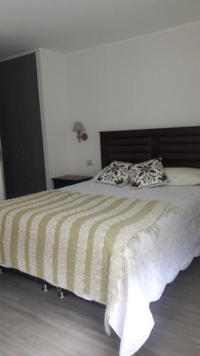 Apartamento Puc�n Andino, Depto.