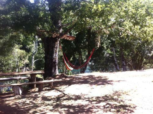 Lodge Caba�a R�o Liucura