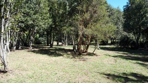 Caba�as Rustica Pucon R�o Trancura